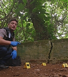 H805-0133.jpg