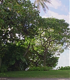H806-0009.jpg