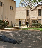 H806-0235.jpg