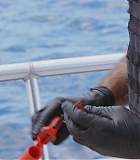 H809-0145.jpg