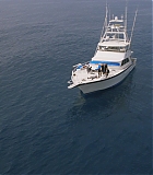 H809-0173.jpg