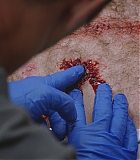 H810-0423.jpg
