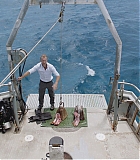 H904-0207.jpg