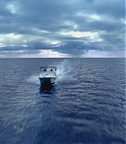 H913-0144.jpg