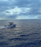 H913-0146.jpg