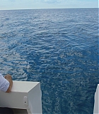 H913-0211.jpg