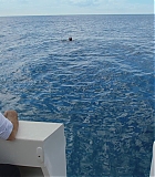 H913-0212.jpg