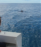 H913-0213.jpg