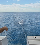 H913-0214.jpg