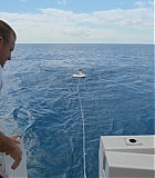 H913-0215.jpg
