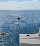 H913-0217.jpg