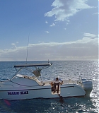 H913-0220.jpg