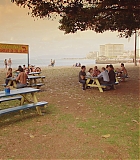 H923-0224.jpg